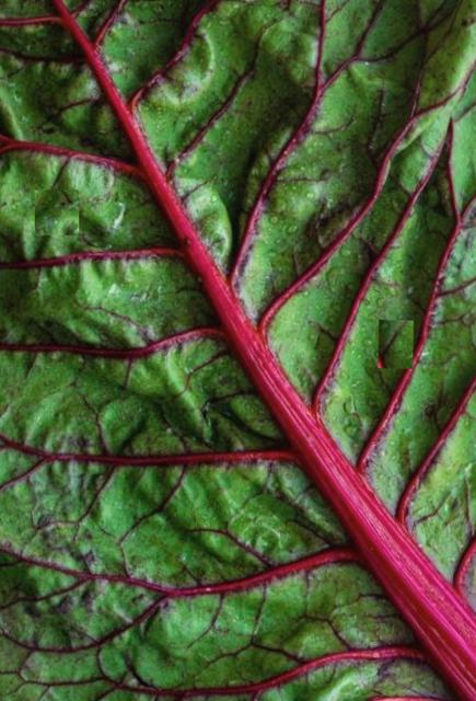 Gluten-free recipes